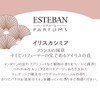 Esteban Amber Sticks, 40 Sticks Incense, Incense, Made in Japan