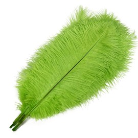 Happy Feather 16-18 inch Green Ostrich Feathers Craft for Wedding Party Centerpieces Home Decoration DIY Craft Pack of 10