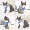 SlowTon Cat Harness Leash Set, Stylish Adjustable Breathable Escape Proof