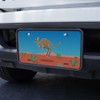 Graphics and More Kangaroo Hopping in The Australian Outback Novelty