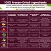 Beets Superblend 100% Freeze Dried Powder Juice, Beets, Pomegranate, Avocado,