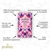 Pukka Organic Tea Bags, Elderberry & Echinacea Herbal Tea, Perfect
