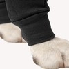 Suitical Recovery Sleeve for Dogs | Double Sleeve Front Leg