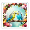 Budgerigar Coaster Set. 4 different Budgie Pictures on 10cm x