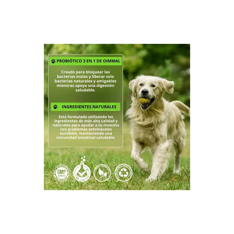 Suplemento Alimenticio Perro Probióticos Enzimas Digestivas