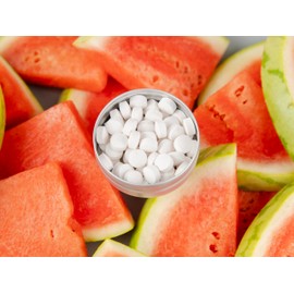 J&L Naturals Toothpaste Tablets | 62-Pack Travel-Friendly Toothpaste | Fluoride + Plastic Free, Vegan, Cruelty Free, Sustainable | Woman-Owned Small Business (Watermelon, 62 Count (Pack of 4))