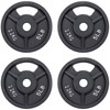 Signature Fitness Standard 1-Inch Cast Iron Plate Weight Plate for