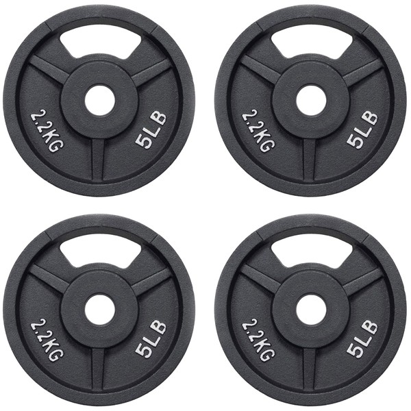 Signature Fitness Standard 1-Inch Cast Iron Plate Weight Plate for