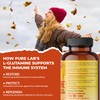 Pure Lab Vitamins L-Glutamine 500mg 150 Vegi-caps - Supports Digestive