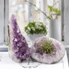 Nupuyai Natural Amethyst Crystal Quartz Cluster, Mineral Geode Druzy Specimen