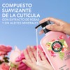 Herbal Essences Acondicionador Suavidad Rosa Mosqueta 600 ml