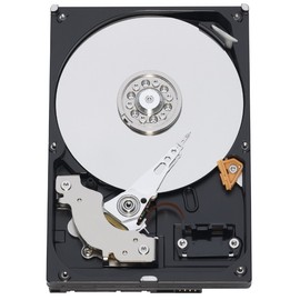 Western Digital 1 TB Caviar Green SATA Intellipower 8 MB Cache Bulk/OEM Desktop Hard Drive WD10EAVS