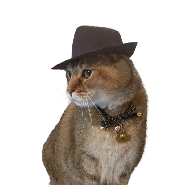 Large Indiana Jones Fedora for your Cat, Indiana Jones hat