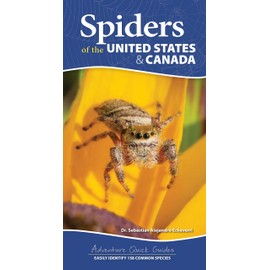 Spiders of the United States & Canada: Easily Identify 158 Common Species (Adventure Quick Guides)