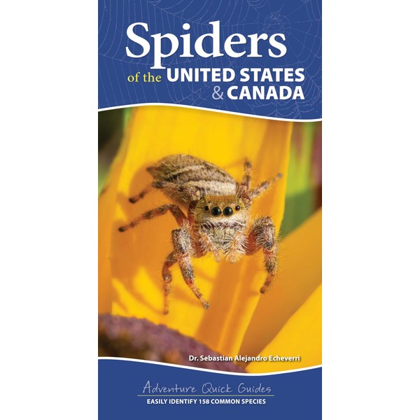Spiders of the United States & Canada: Easily Identify 158