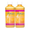 Brilliance for Spas Surface Cleaner - 1 pt - 2 Pack
