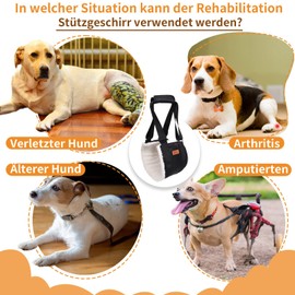 Verstellbarer Hunde Tragehilfe, Tragbarer Tragegurt zur Rehabilitation von mittleren und großen Hunden - Gehhilfe mit Griffen als Sicherheitsunterstützung für behinderte, verletzte oder ältere Hunde