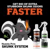 Nuesta Pets Skunk Odor Remover System w/Activated Charcoal | Ultimate