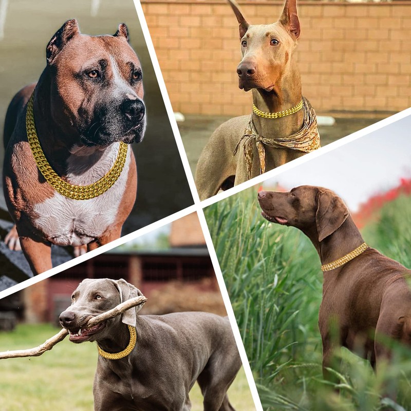 Stainless Steel & 18K Gold Dog Chain Collar - Adjustable,