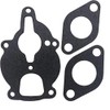 Carburetor Rebuild Repair Kit W/Float Fits Wisconsin Zenith Engine VHD