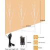 Kinamy LED Tree, Set of 3 Light Trees, 60 LEDs,