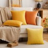 EMEMA Fall Orange Velvet Throw Pillow Covers 20x20 Inch Set