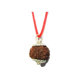 IndianStore4All 6 Mukhi Nepal Rudraksha Penadnt 100% Original Six Face Rudraksha