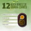 Green Life Guava Tea Leaves 150.