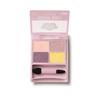 Daisy Doll by Mary Quant (デイジードールバイメリークヮント) Eye Color Palette P-01