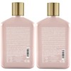 Alfaparf Lisse Design Maintenance Shampoo & Conditioner DUO 8.45oz each