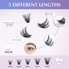 Oreola False Eyelashes Individual 80D Natural Individual Eyelash Cluster Wispy