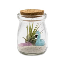 3 Inch Mini Glass Jar Flamingo DIY Terrarium Kit with Live Tillandsia Ionantha Air Plant and Accessories for Indoor Gardens and Home Décor (Blue)