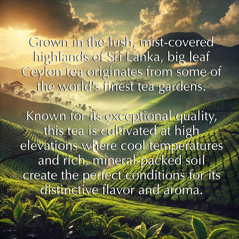Romanov Tea | Royal Elixir Knight | Big Leaf Tea
