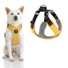 Gooby Convertible Z Harness - Scratch Resistant Outdoor Harness with Shock Absorption - Ergonomic Harness for Small or Medium Dogs