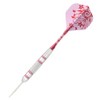 CUESOUL 3pcs/Set Steel Dartpfeile - 18 Grams - 27 Grams