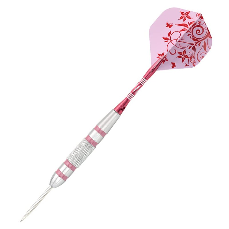 CUESOUL 3pcs/Set Steel Dartpfeile - 18 Grams - 27 Grams