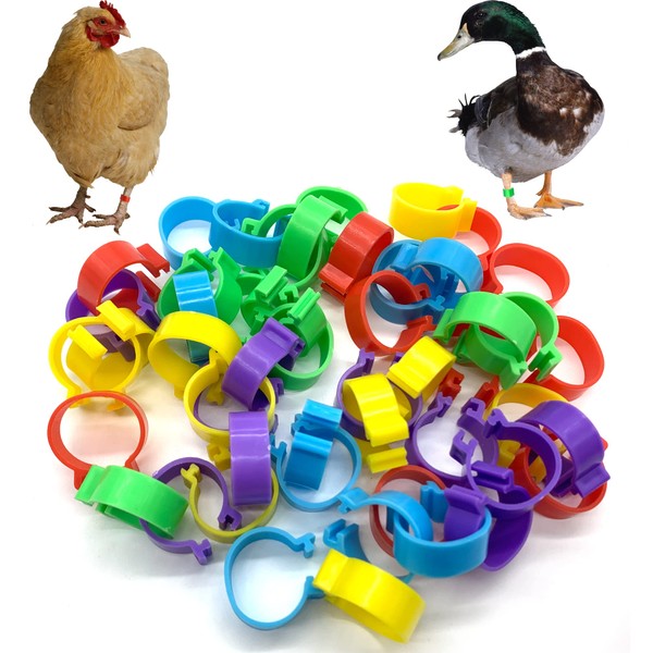 Foot Rings for Poultry, Pack of 100 Poultry Foot Rings