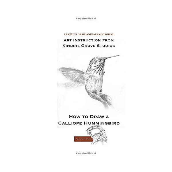 How to Draw a Calliope Hummingbird (How to Draw Animals
