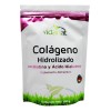 Colágeno Hidrolizado Puro Biotina Acido Hialurónico 300gr Sabor