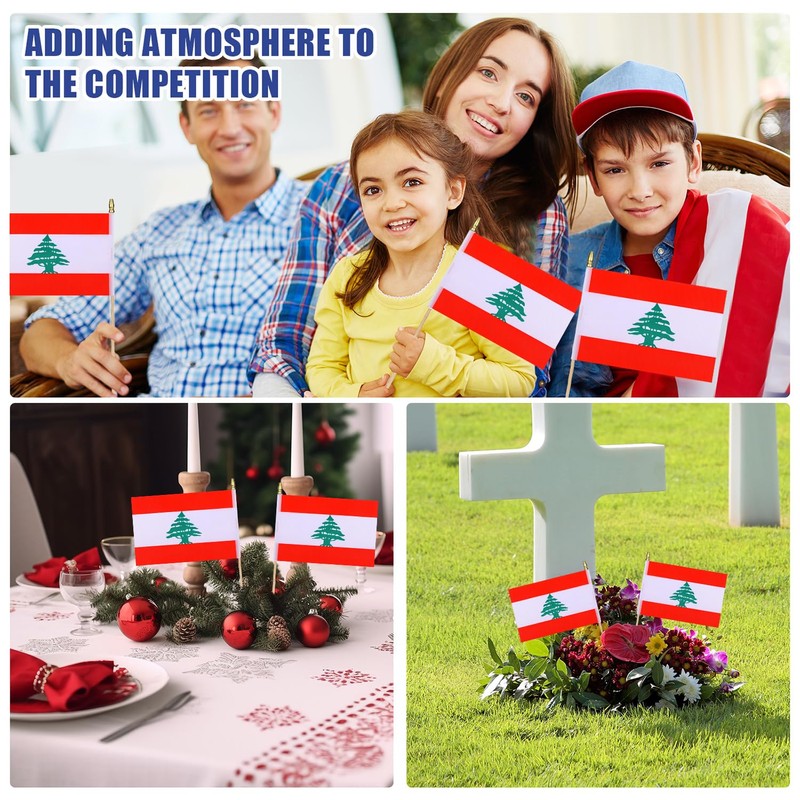 HSQCEZ 12Pcs Small Lebanon Flags on Wooden Stick Mini Lebanese