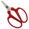 Sakogen Hand Creation F Round Point, Red