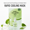 Parnell Mascarilla Calmante Refrescante Panthenol Heartleaf 10 Unidades, Cuidado de