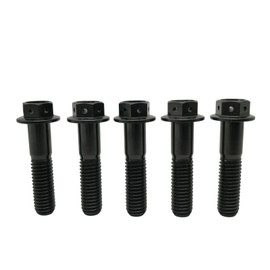 RISON Titanium Bolts M10 x 1.25 x 60 mm Titanium Flange Screws TC4 Titanium Screws Hex Screw Black GR5 Titanium Bolts Pack of 5