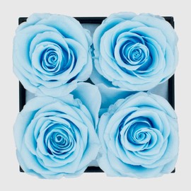 Graceful Fleurs | Real Long Lasting Roses for Years | Preserved Fresh Flowers for Delivery Birthday | Forever Roses in a Box | Valentines Gifts for Her (Baby Blue, Black Box, 4 Roses)