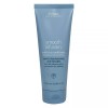 Aveda 아베다 스무드 인퓨전 안티 프리즈 컨디셔너 200ml Aveda Smooth Infusion Anti-Frizz Conditioner 200ml
