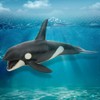 Animal Model, Plastic Similation Animals Figures Killer Whale Shape Model