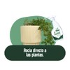 TRI-PACK REPELENTE DE INSECTOS NATURAL CON AKBA FUERZA CANELA FESS