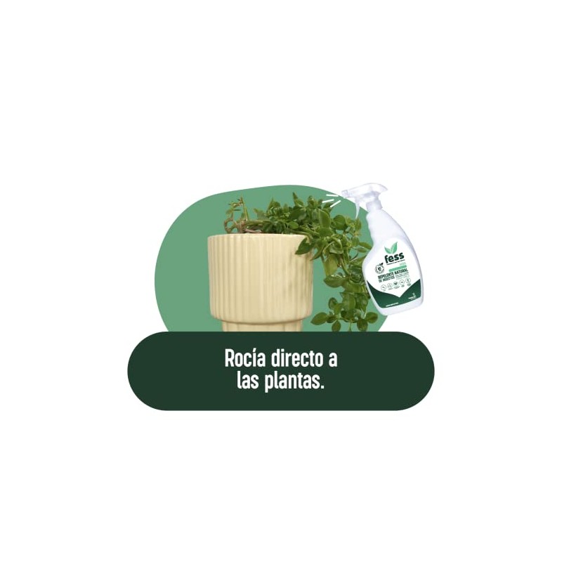 TRI-PACK REPELENTE DE INSECTOS NATURAL CON AKBA FUERZA CANELA FESS