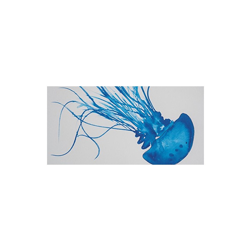 SeaKisses Jellyfish A4 SeaLife Print Unframed