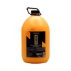 Vonixx V-Mol Shampoo Profesional Quita Lodo 5L | Shampoo Desincrustante